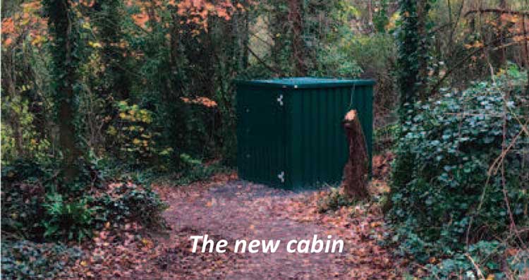Knapp Cabin 2