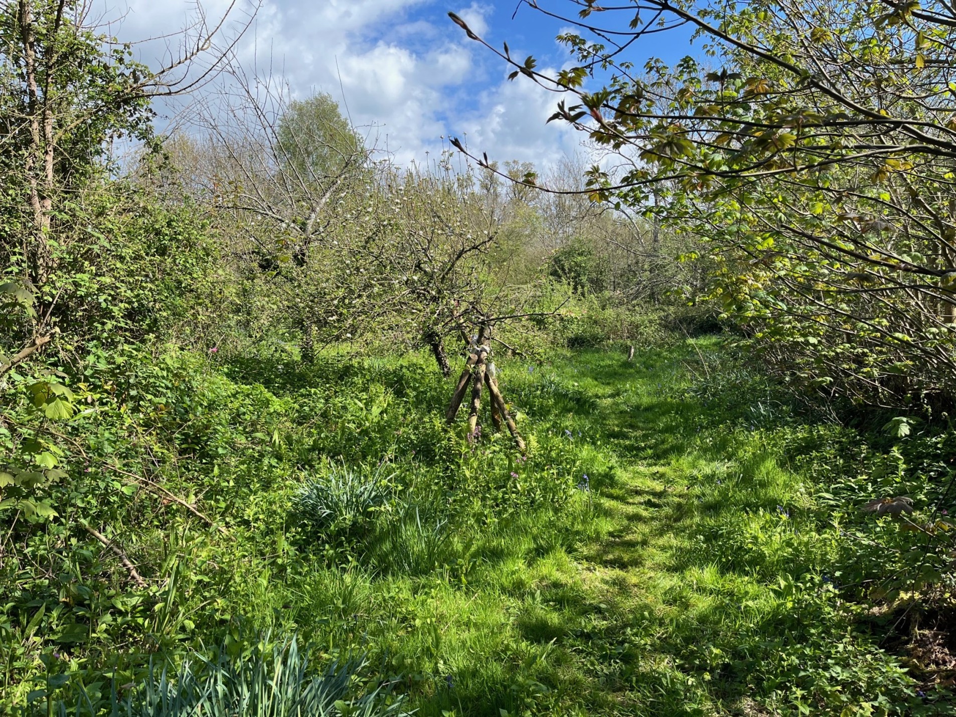 govier orchard entrance