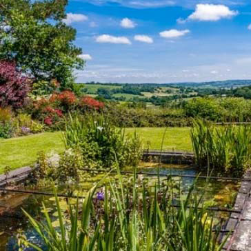 Burrow Farm pond
