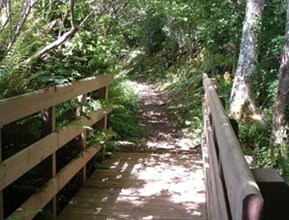 Footpath