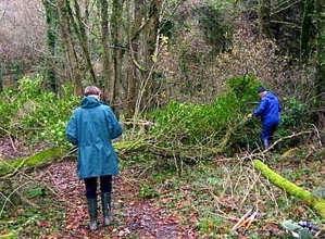 Footpath