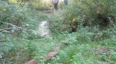 The remains of Gilchrist Pond