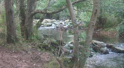 River Sid